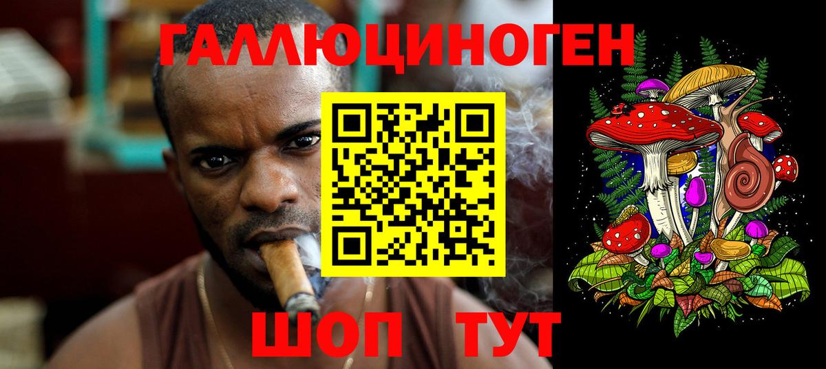 Галлюциногенные грибы Psilocybe Узловая